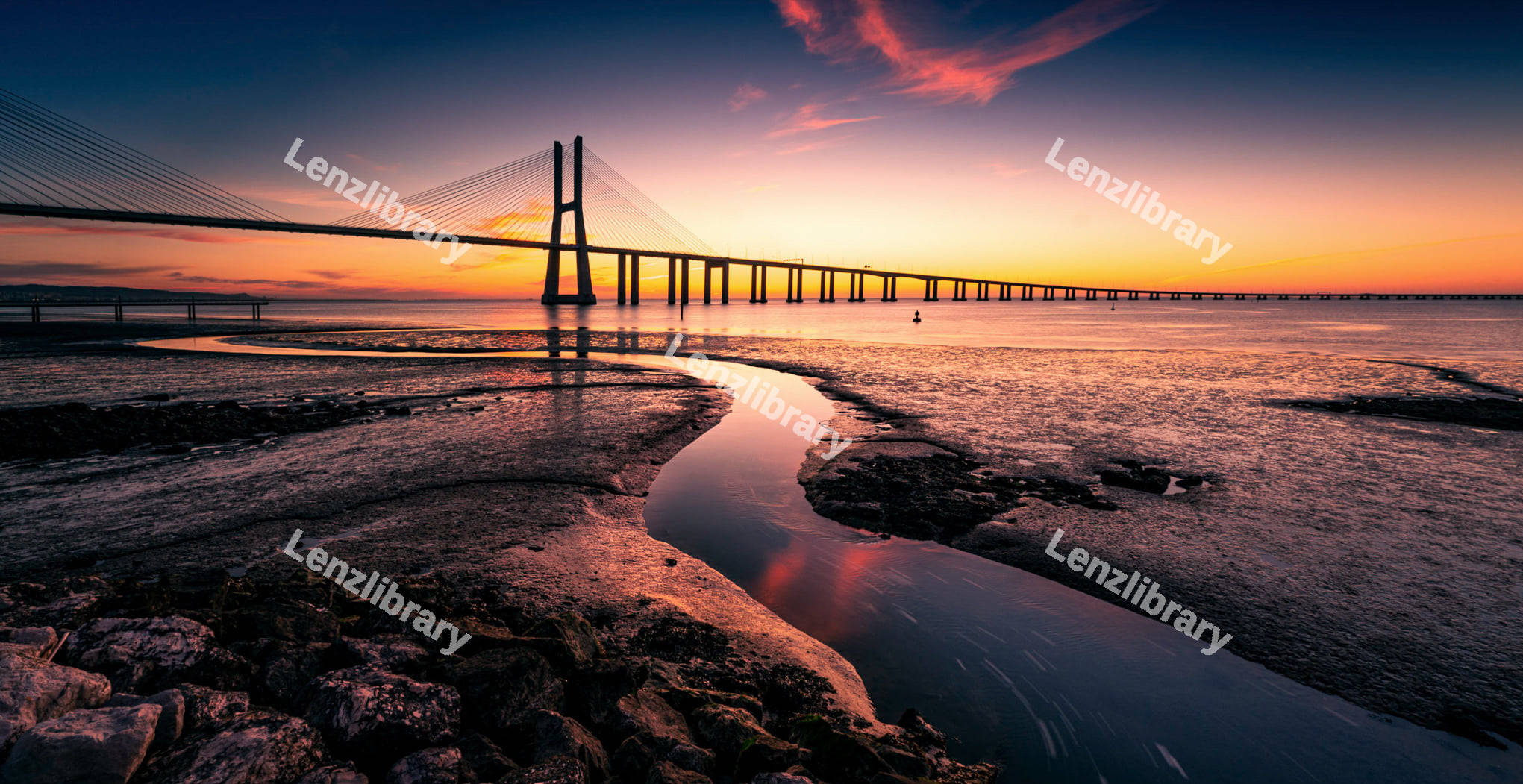 Vasco da Gama Bridge